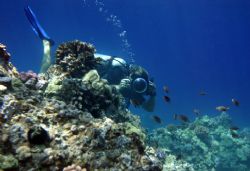 Thru the Eyes of the Fish. Shot taken in Maui, Hawaii. by Mathew Cook 
